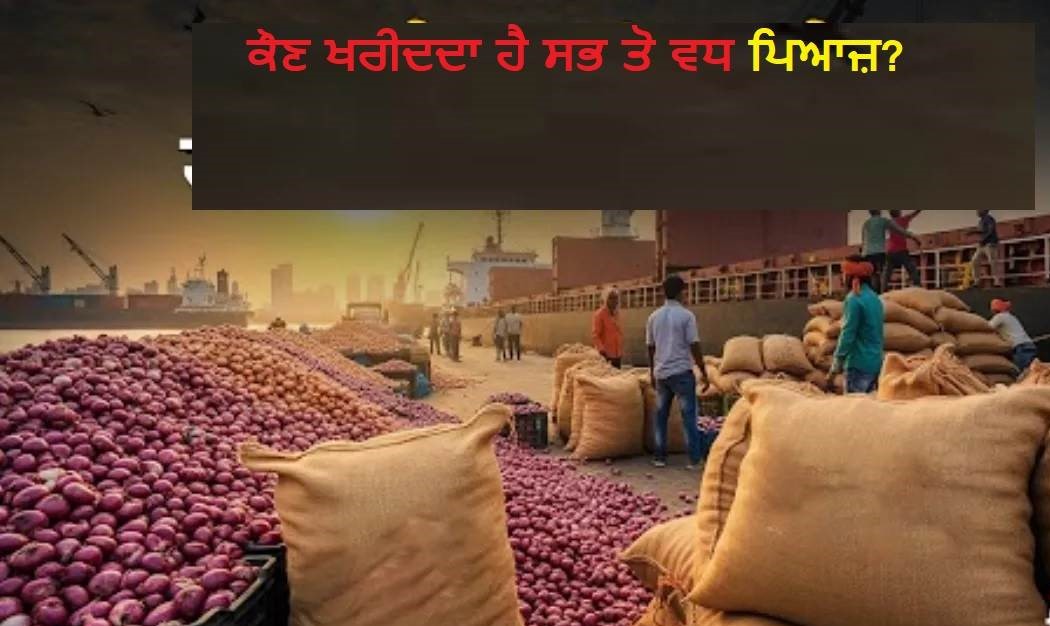 ਪਿਆਜ਼ ਵੇਚ ਕੇ ਭਾਰਤ ਕਰਦੈ ਬਹੁਤ ਕਮਾਈ, ਇਹ ਹਨ 10 ਸਭ ਤੋਂ ਵੱਡੇ ਖਰੀਦਦਾਰ